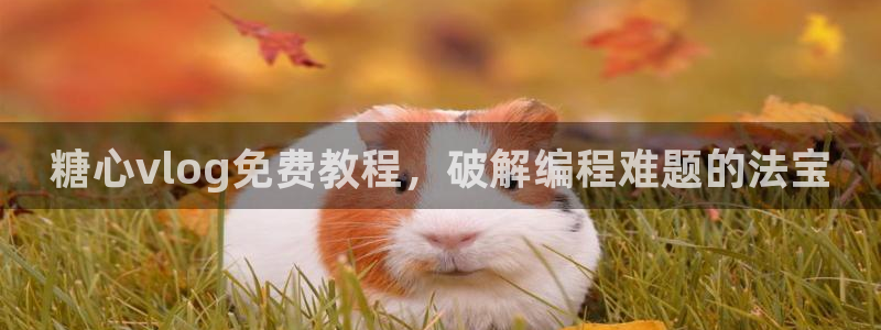 糖心vlog可信吗：糖心vlog免费教程