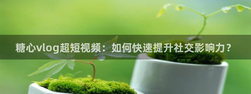 糖心在线蘑菇vlog：糖心vlog超短视