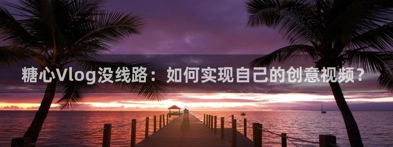 台湾糖心vlog在线：糖心Vlog没线路