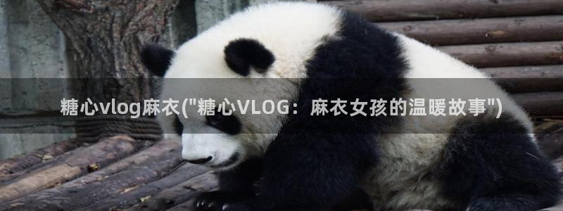 糖心vlog表情包：糖心vlog麻衣(\