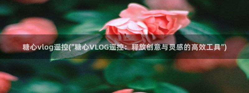 糖心vlog白发：糖心vlog遥控(\