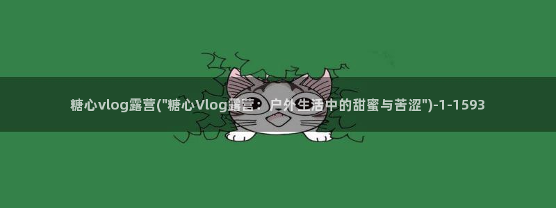 糖心vlog可信吗：糖心vlog露营(\