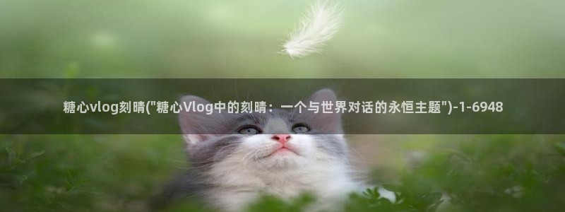 糖心vlog在线资源：糖心vlog刻晴(\