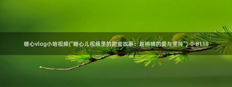 糖心vlog女友：糖心vlog小晗视频(