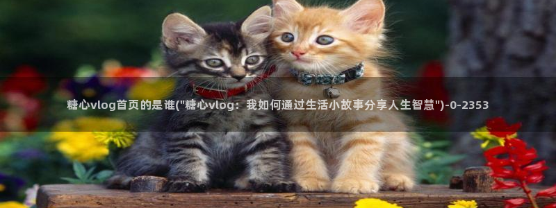 糖心唐伯虎vlog照片：糖心vlog首页