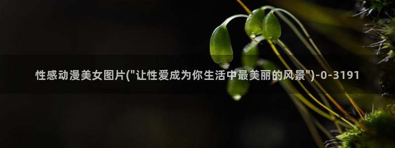古风动漫