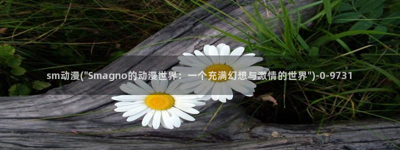 快乐方程式动漫：sm动漫(\