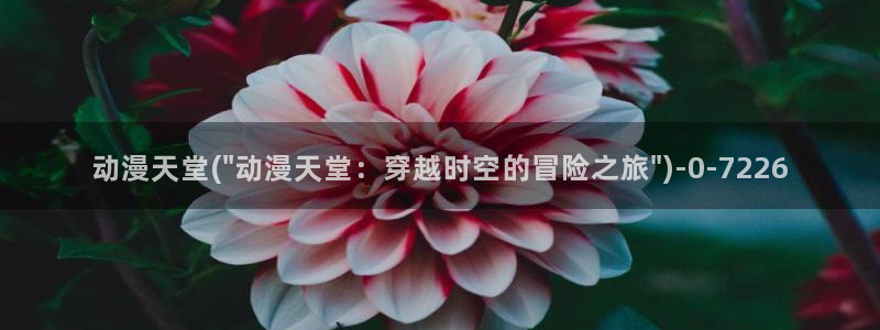 成人动漫网站：动漫天堂(\