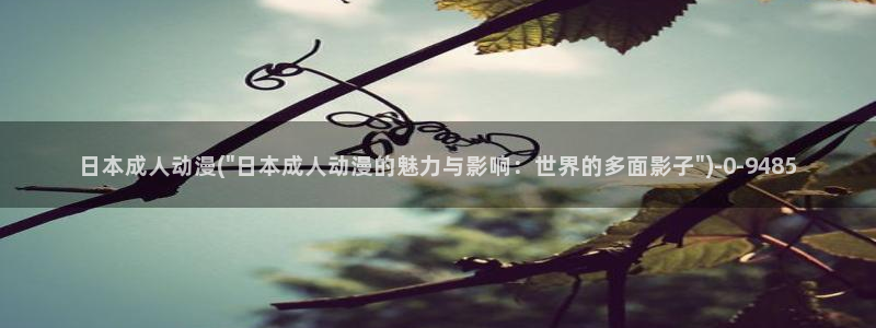 动漫节