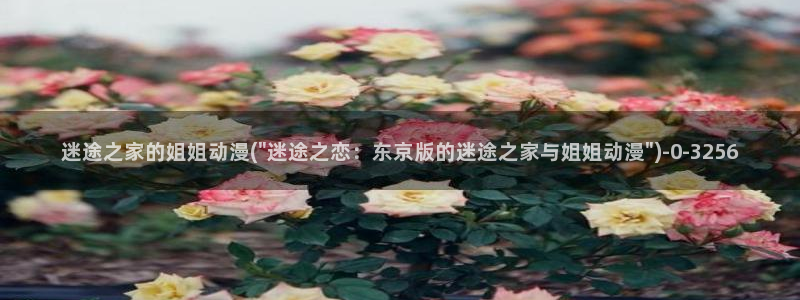 成人动漫网